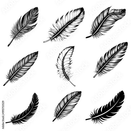 Bird feather, black and white sketch set. Vector illustration. Drawing isolated on white background