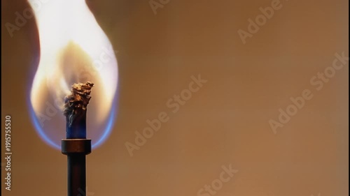 Macro background 