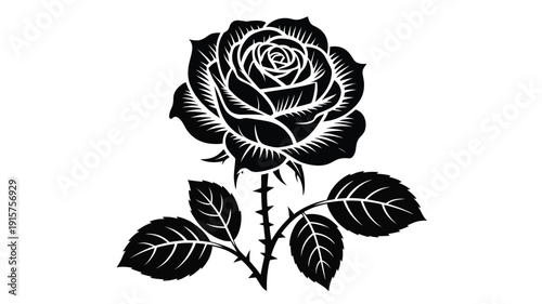 Elegant black rose silhouette with thorns and leaves on white background