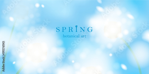 Spring landscape blurred background. White elegant soft flowers. Blue sky, green grass. Natural fresh mood. Macro dandelions.