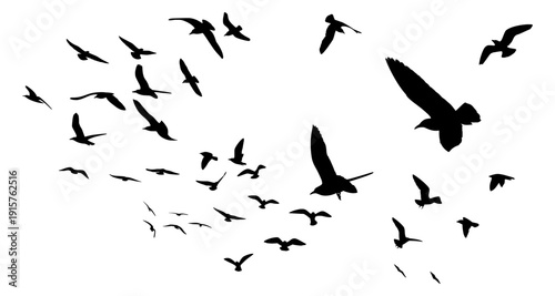 Mega Set of Bird Flock Silhouettes. Large Collection of Flying Bird Groups for Versatile Creative Backgrounds.