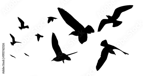 Flying Bird Flock Silhouette. Black Minimalist Illustration of Migrating Birds for Tranquil Atmosphere Design.