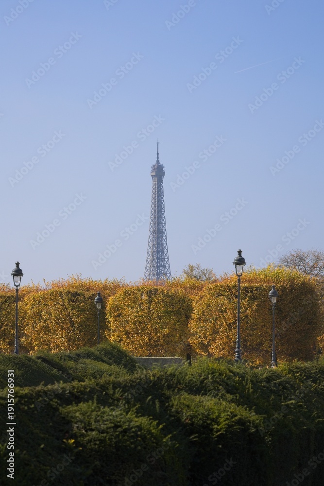 Obraz premium The Eiffel Tour from the Tuileries Garden at fall time.