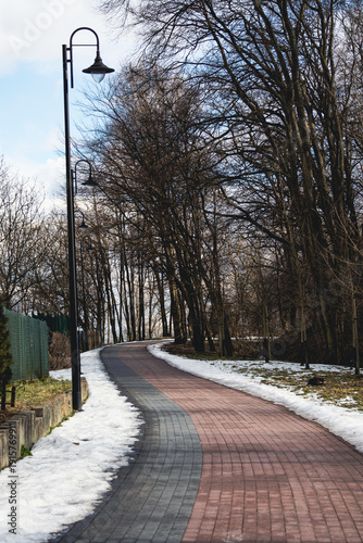 Foto Winding paved walkway through a quiet park with snow along the edges, leafless trees, and vintage street lamps under a bright winter sky