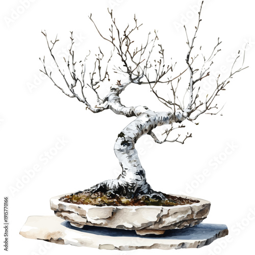 Birch Bonsai A Beautifully Detailed, watercolor painting capturing graceful lines and soft blended shades, isolated on a white background.