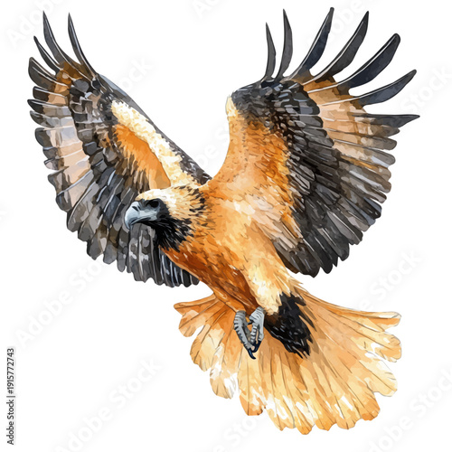 Bearded Vulture A Beautifully Detailed, watercolor painting capturing graceful lines and soft blended shades, isolated on a white background.