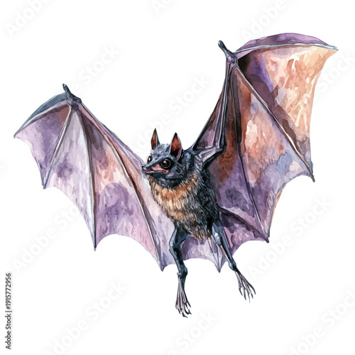 Bat A Beautifully Detailed, watercolor painting capturing graceful lines and soft blended shades, isolated on a white background.