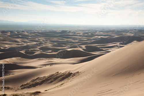 Khongoryn Els sand dunes landscape, Mongolia. Gobi desert