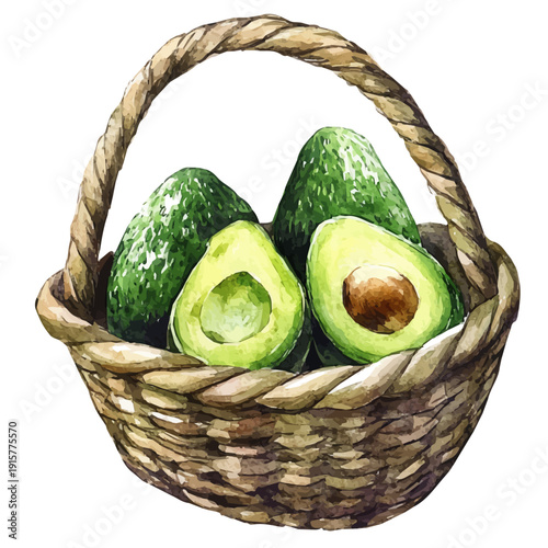 Avocado Basket A Beautifully Detailed, watercolor painting capturing graceful lines and soft blended shades, isolated on a white background.