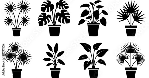 potted houseplants silhouette set with tropical indoor plants, modern home decor greenery, black and white botanical illustration collection for interior design, lifestyle, and creative graphic projec