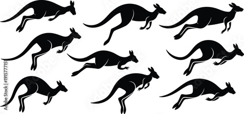 Kangaroo Silhouette Set in Various Jumping and Standing Poses Isolated on White Background, Australian Wildlife Animal Vector Collection