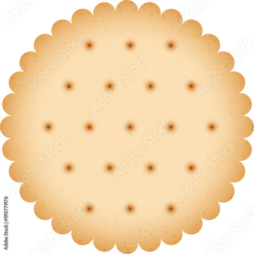 Round biscuit. Realistic cookie cracker. Snack food