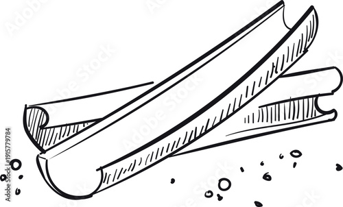 Cinnamon stick drawing. Cooking spice herb sketch
