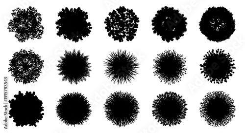 Textured Ink Brush Vector Top View Tree Silhouettes Set for Landscape Architecture