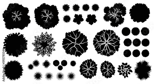 Vector Solid Black Top View Tree and Plant Silhouettes Set for Architectural Site Plans