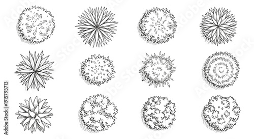 Hand-Drawn Ink Sketch Vector Set: Top View Plants and Bushes in Architectural Doodle Style