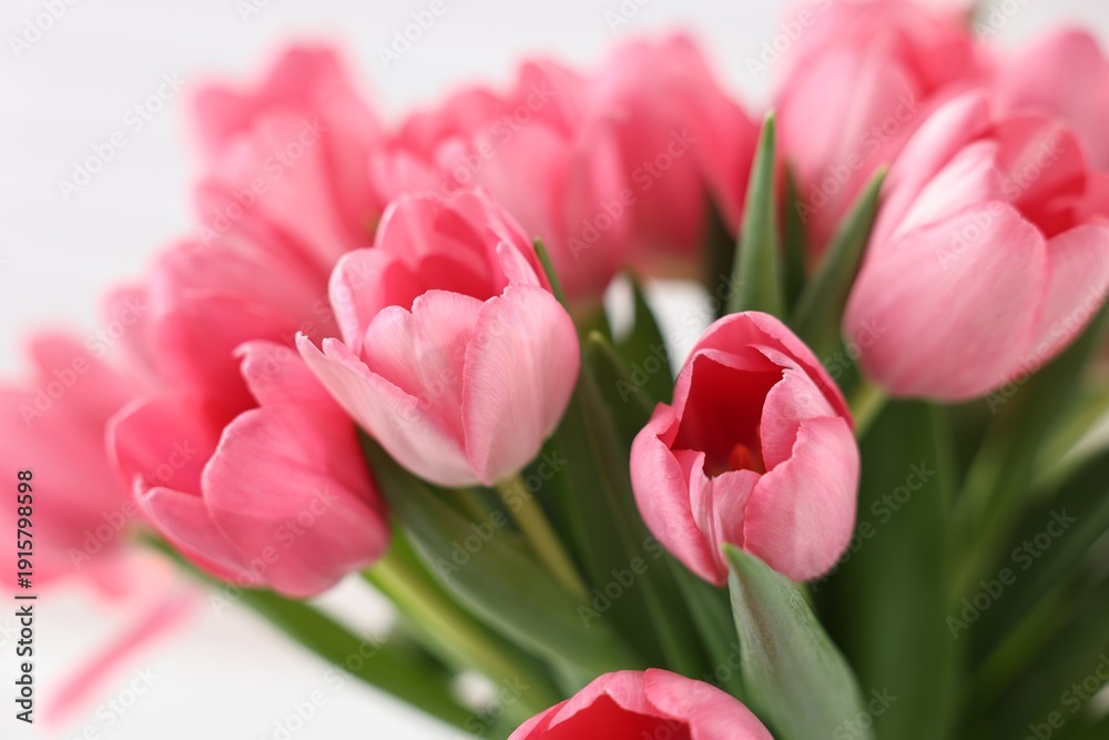 Obraz premium Bouquet of pink tulips on blurred light background, closeup