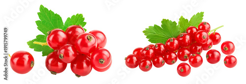 Foto Red currant berries with leaf isolated on white background