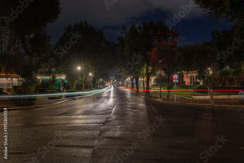 scie di automobili di notte nel parco, lunga esposizione