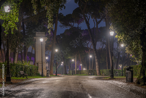 Viale notturno nel parco con lampioni accesi