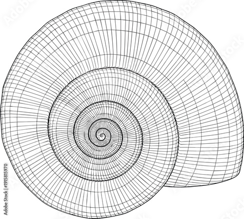A spiral illustration of a seashell viewed from the side, showcasing its detailed wireframe structure and concentric circles.