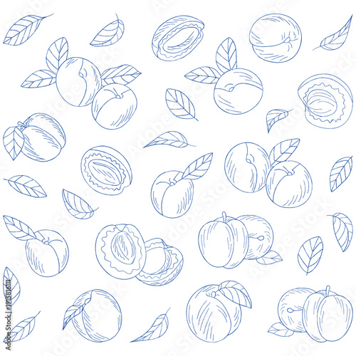 Lineal Hand-Drawn Plums and Apricots with Leaves Sketch Collection