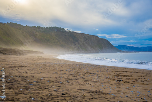 Rocky coastline and sandy beach with cliffs and ocean waves. High quality photo