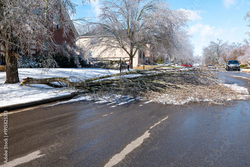 Winter Ice Storm Damaged Tree Fallen Across Suburban Road