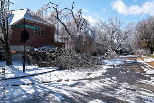Winter Ice Storm Damaged Tree Fallen Across Suburban Road