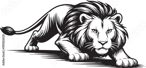 African Lion Savannah Stalking Forward Motion Powerful Predator Illustration for Logo Packaging Design