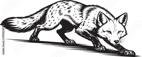 Arctic Fox Snow Stalking Motion Agile Hunter Illustration for Logo Design