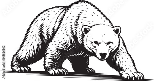 Polar Bear Arctic Stalking Motion Powerful Predator Illustration for Logo Design