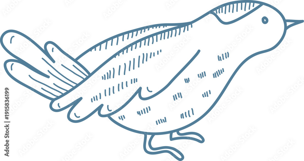 Obraz premium Bird Standing Sketch Doodle