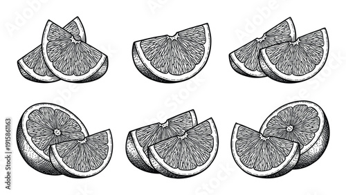 Orange wedge in vintage engraving drawing style with citrus fruits slice and pulp on peel