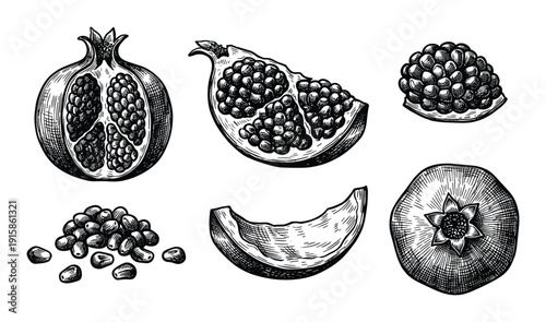 Pomegranate fruit engraving vector, whole, half, quarter, seeds, and isolated on transparent background