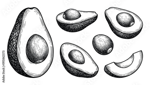 Set of hand drawing avocado on transparent background isolated vector illustration