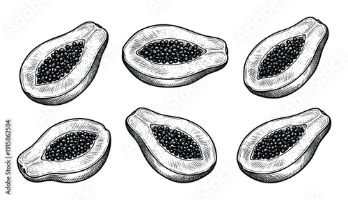 Set of sliced papaya fruits vector etching imitation delicious tropical dessert food isolated