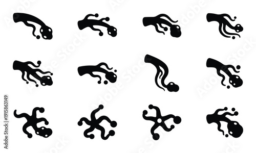Tadpole amphibian larva aquatic animal baby metamorphosis life cycle vector illustration silhouette icon