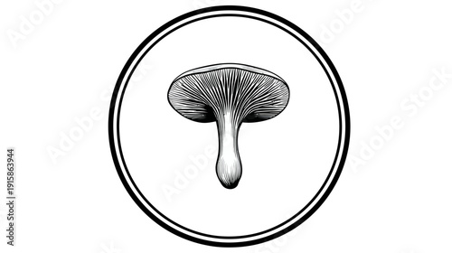 A line drawing of a mushroom inside a double circular border. It appears botanical in style