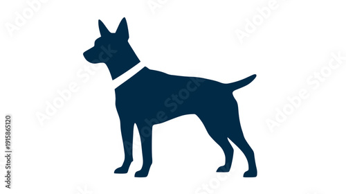 A silhouette of a dog in navy blue against a white background, wearing a white collar