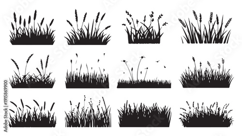 A clean vector illustration set of various grass and cattail silhouettes in different poses and arrangements