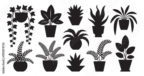 Assortment of hanging and potted houseplants and plants silhouette vector