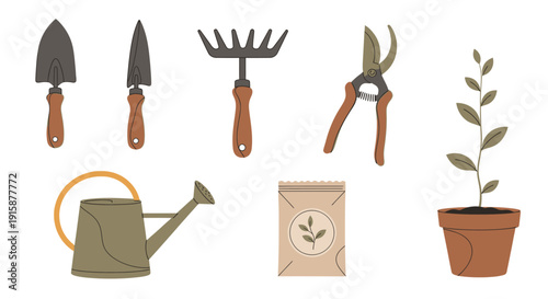 Gardening tools and a potted plant arranged on a white background, showcasing gardening equipment and a young plant