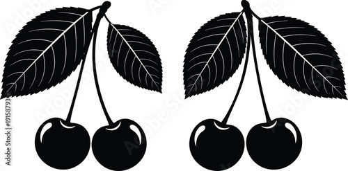 Cherry fruit branch black and white vector illustration, detailed silhouette of cherries with leaves, natural botanical design for organic food artwork