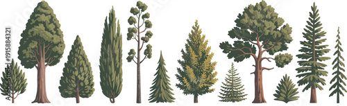 Stylized tree illustrations collection, diverse foliage patterns, artistic botanical designs, coniferous and broadleaf species, landscape nature elements