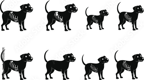 Cartoon dog anatomy illustration, side profile vector, skeletal structure comparison, veterinary concept, pet health, educational animal graphic for stock content