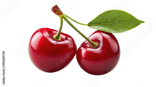 Luscious Cherries Duo: A close-up shot of two ripe, glossy cherries, their vibrant red hue intensified by the surrounding light, nestled next to each other, a single.