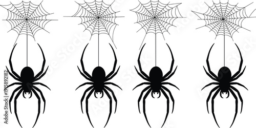 Spider Hanging on Web Silhouette Set Black and White Vector Illustration for Halloween Decoration and Creepy Design