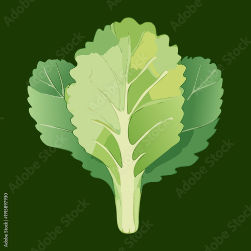 Single Green Cabbage Head For Farm Fresh Produce Branding And Healthy Lifestyle Content Creation - Vector Illustration