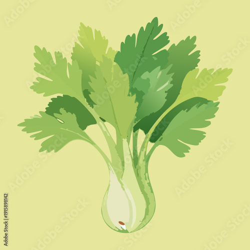 Fresh Celery Stalks For Natural Culinary Ingredients And Healthy Vegetarian Lifestyle Graphic Assets - Vector Illustration